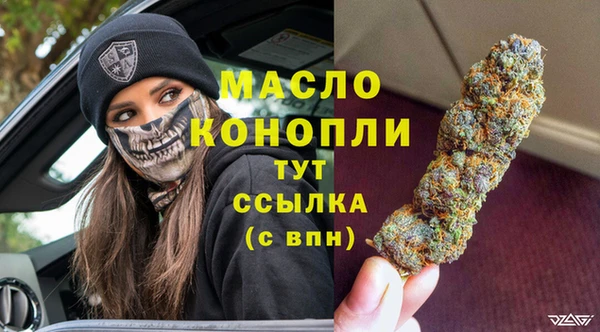 индика Бугульма