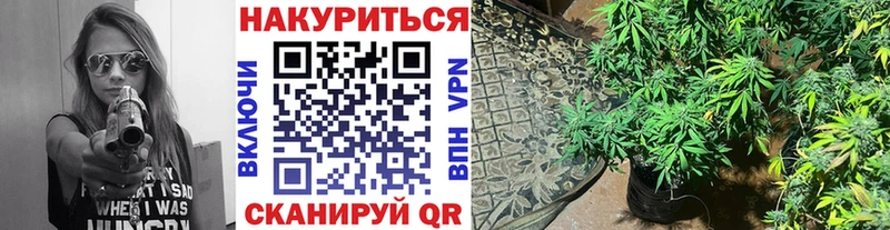 Каннабис AK-47  кракен рабочий сайт  Энгельс 